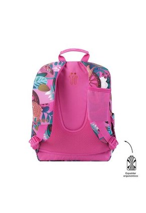 Morral Gommas