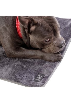 Cama Plegable Portatil Sherpy Grande Gris