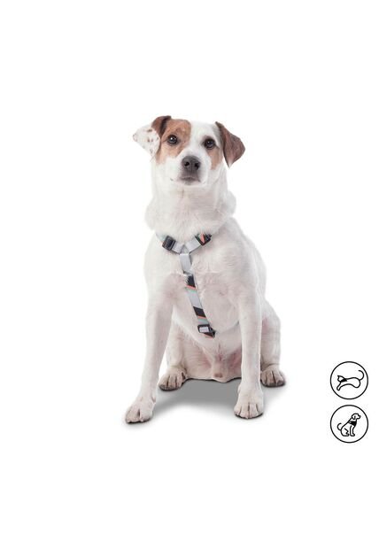 Arnés Figgo Para Mascota