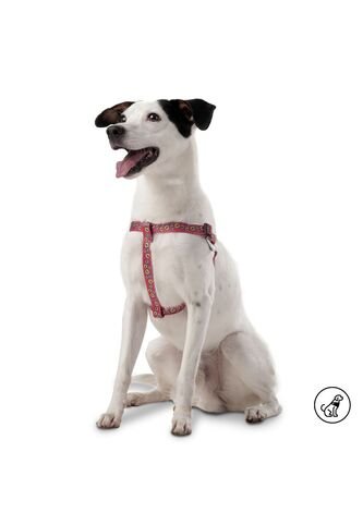 Arnés Brunno Para Mascota Totto