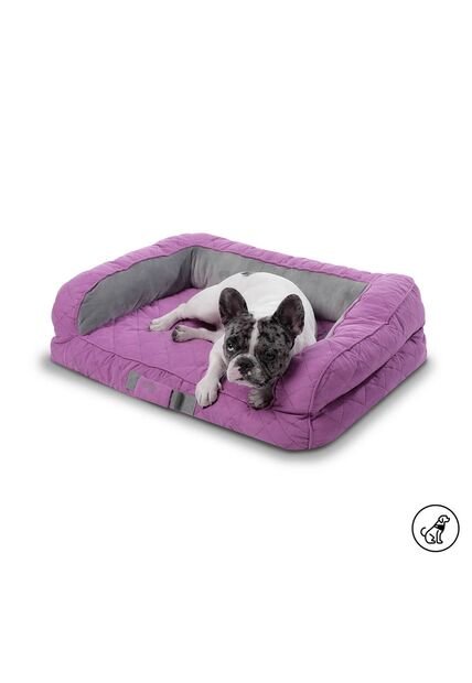 Cama Para Perros Acolchada Alina Morada Con Colchón Extraíble