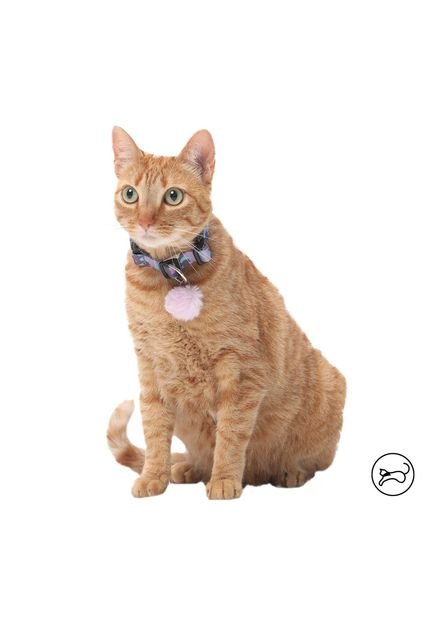 Collar Para Gato Michi Morado