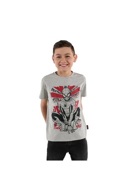 Camiseta Para Niño Spiderman Amazing Gris