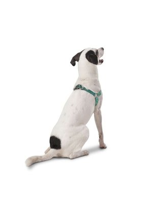 Arnés Brunno Para Mascota