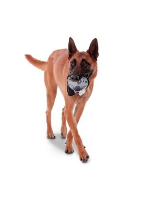 Juguete Disky Para Mascota