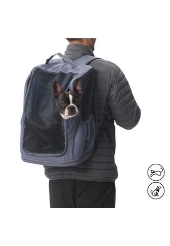 Cargador Para Mascota Duke Gris Totto