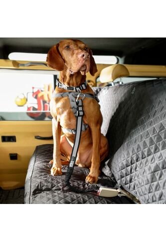 Correa Para Perro Simba Negro Totto