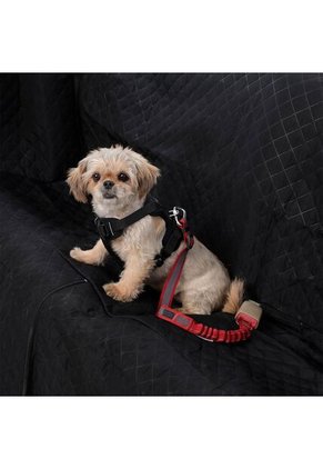 Correa Para Perro Simba Rojo/Negro