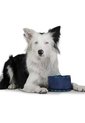 Bebedero Portátil Vito Para Mascota de Totto