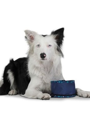 Bebedero Portátil Vito Para Mascota