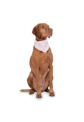 Pañuelo Menta Doble Faz