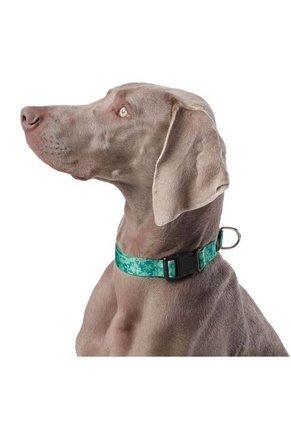 Collar Ajustable Mylu Para Perro
