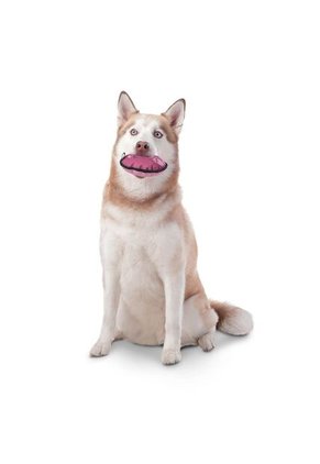 Juguete Disky Para Mascota