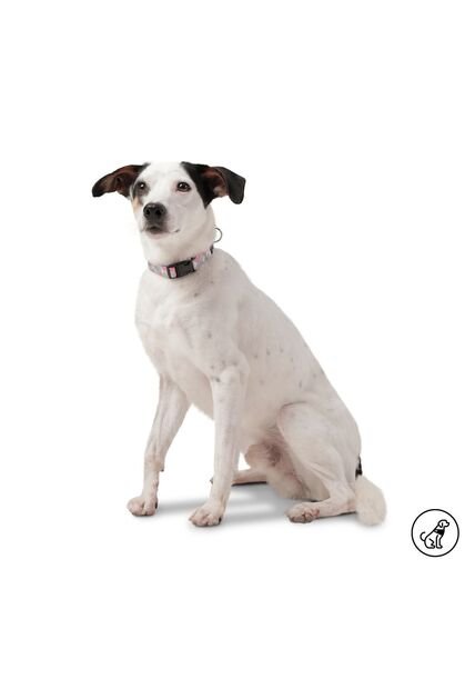 Collar Ajustable Mylu Para Perro