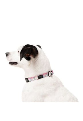 Collar Ajustable Mylu Para Perro