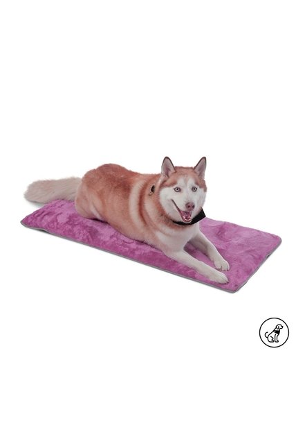 Cama Plegable Portatil Sherpy Grande Morada