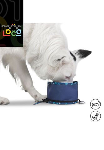 Bebedero Portátil Vito Para Mascota Totto