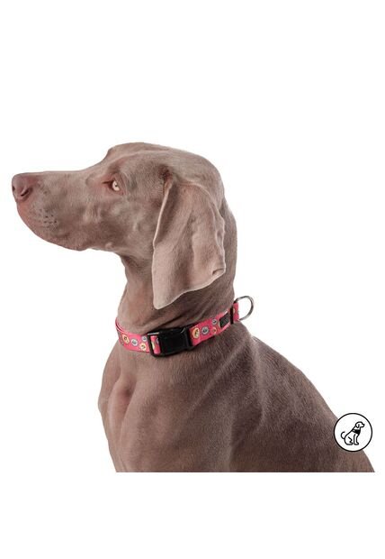Collar Ajustable Para Perro Mylu L Rojo