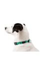 Collar Ajustable Mylu Para Perro de Totto