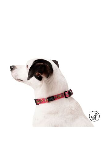 Collar Ajustable Para Perro Mylu L Rojo Totto