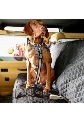 Correa Para Perro Simba Negro