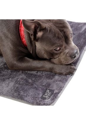 Cama Plegable Portatil Sherpy Grande Gris