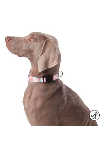 Collar Ajustable Mylu Para Perro