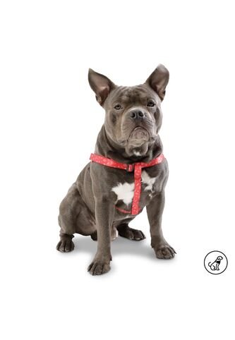 Arnes - Caminata Totto Para Perro Ajustable Con Chapa De Seg Totto