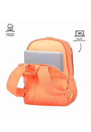 MORRAL TOTTO DINAMICON