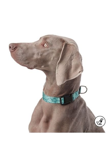 Collar Ajustable Mylu Para Perro