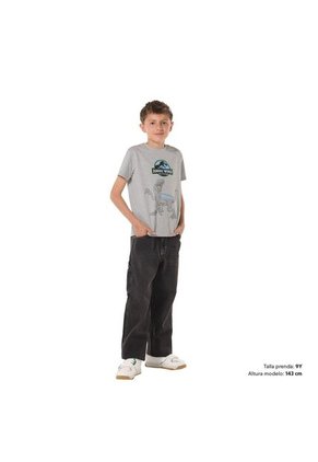 Camiseta Para Niño Jurassic World Gris