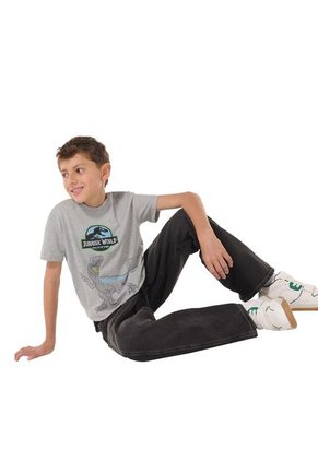 Camiseta Para Niño Jurassic World Gris