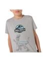 Camiseta Para Niño Jurassic World Gris de Totto