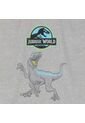 Camiseta Para Niño Jurassic World Gris de Totto
