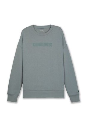 Buzo Para Hombre Cuello Redondo Vess Verde