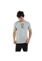 Camiseta Para Hombre Mozartpro Gris de Totto