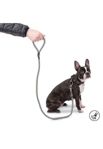 Correa Para Perro Sencilla Nolan Verde
