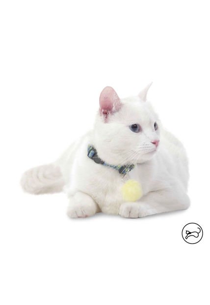 Collar Ajustable Para Gato Meow Azul