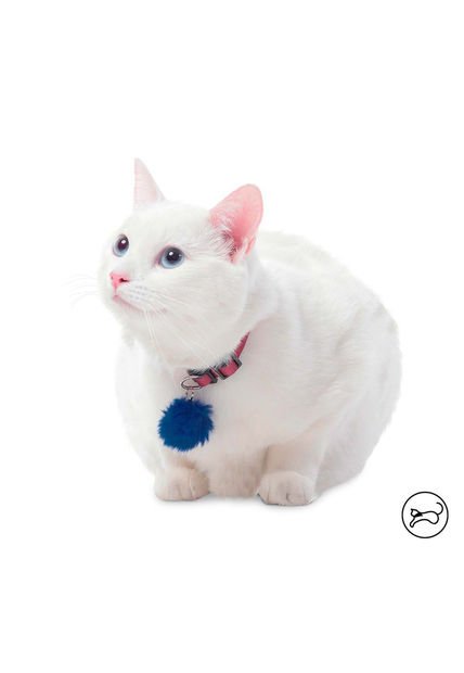 Collar Ajustable Meow Para Gato