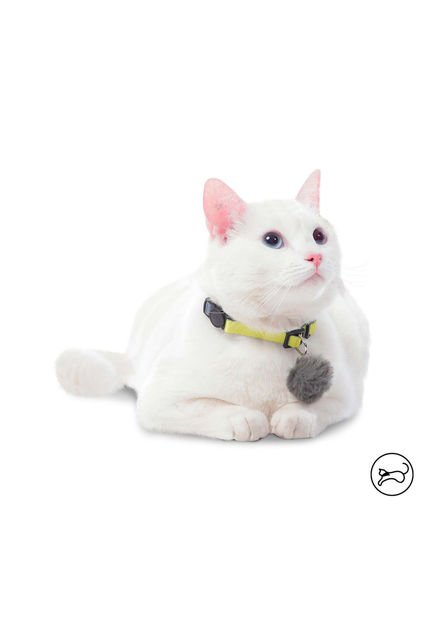 Collar Ajustable Meow Para Gato