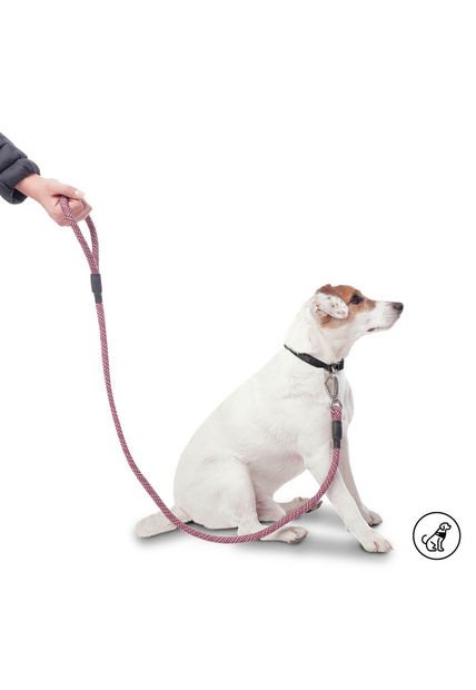 Correa Para Perro Sencilla Nolan Rojo