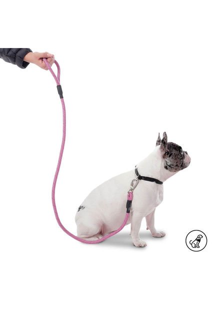 Correa Para Perro Sencilla Nolan Morado