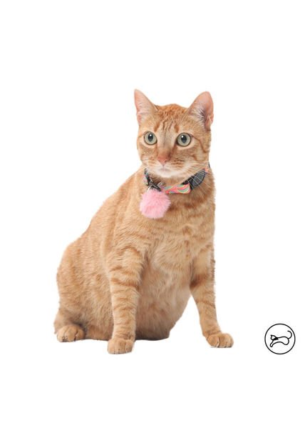 Collar Para Gato Michi Rosado