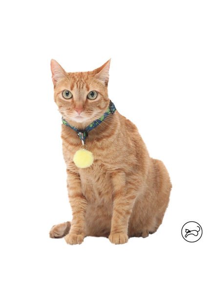 Collar Para Gato Michi Azul