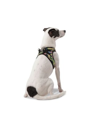 Arnes De Caminata Pechera Toby