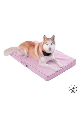 Cama Para Perro Danko Morado Mediana Totto