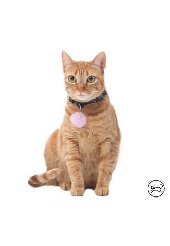 Collar Para Gato Michi Negro Totto