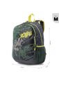 Morral Dinoroarr Walt M de Totto