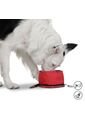 Bebedero Portátil Vito Para Mascota de Totto