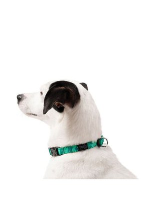 Collar Ajustable Mylu Para Perro